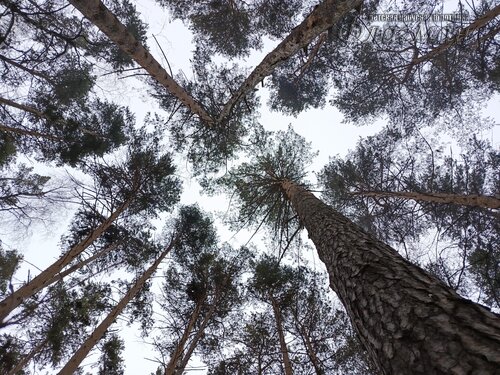 IMG_20260208_130641_045